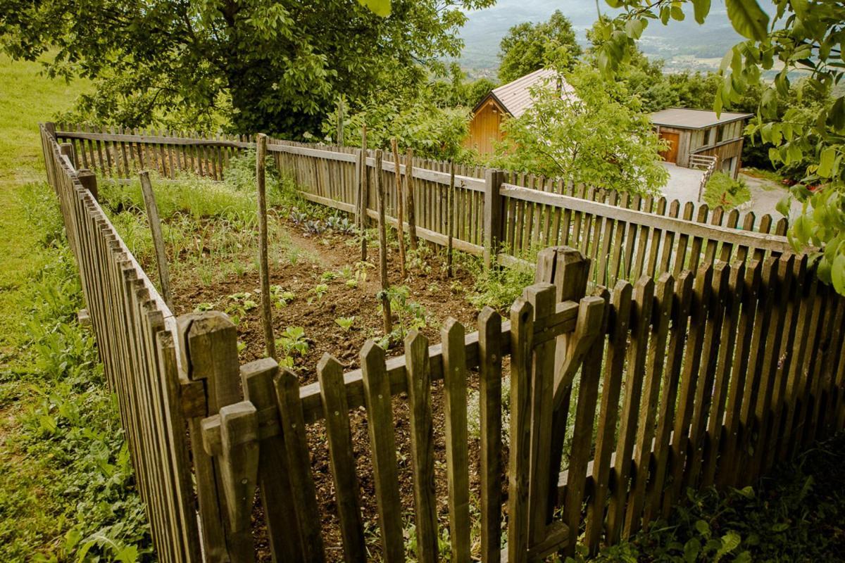 Vineyard Cottage Skatlar 2 Srednje Grcevje Exteriör bild